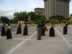 f1_02_gde.jpg (49kb)